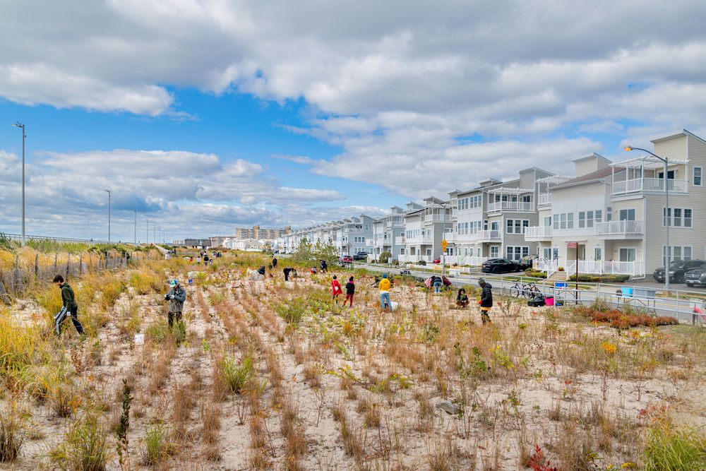 Rockaway Dune Enhancement Plan 