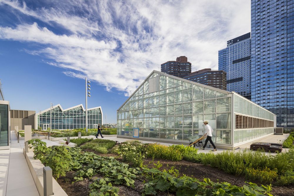 New Rooftop Pavilion and Urban Farm opens at the Javits Center