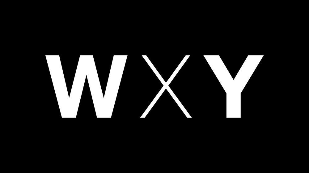 Start the Year with WXY: January Newsletter Out Now!