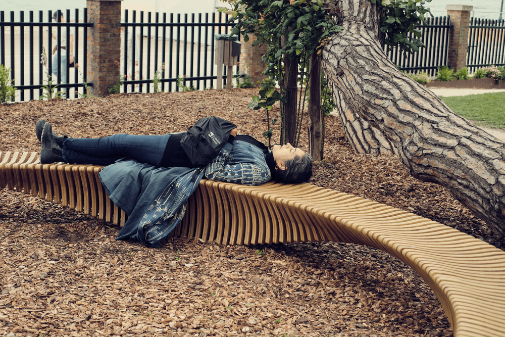 The Palaver Bench 