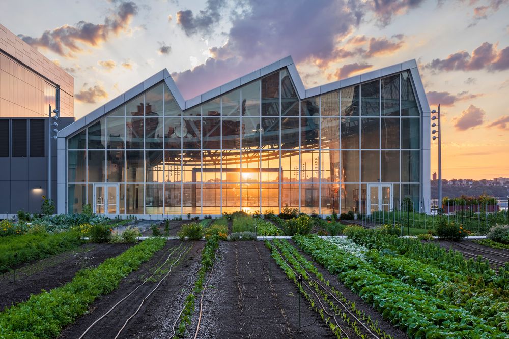 Javits Center Rooftop Pavilion & Farm