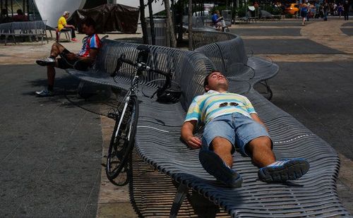 NYC Benches Showcase Designers' Creativity